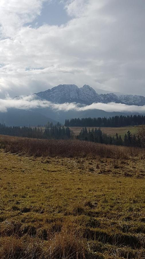 Apartament Na Brzyzku Zakopane Exterior photo